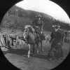 Horse riding 1895